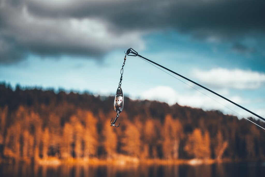 bait, daylight, fishing